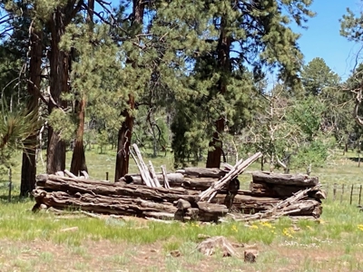 Mountain Property For Sale, Ridgway, Colorado - image 9