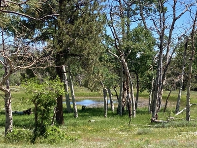Mountain Property For Sale, Ridgway, Colorado - image 10