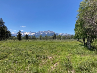 Mountain Property For Sale, Ridgway, Colorado - image 6