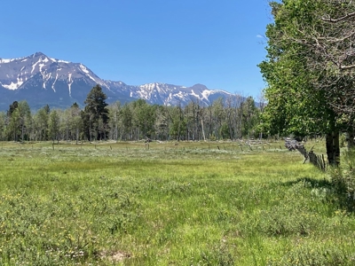 Mountain Property For Sale, Ridgway, Colorado - image 2
