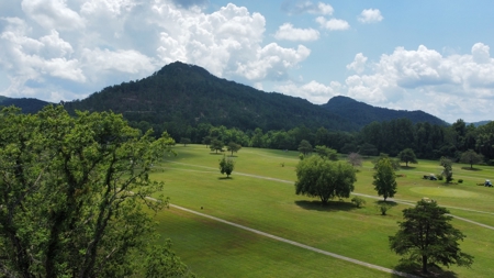 Carrington Green Golf Course - image 16
