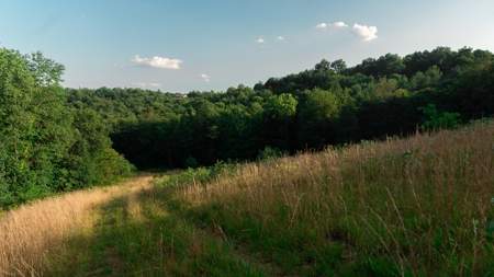 Ross County Ohio Land for Sale - image 16