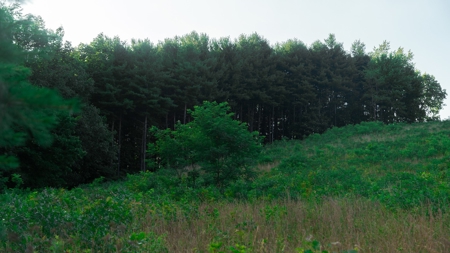 Ross County Ohio Land for Sale - image 18