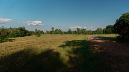 Ross County Ohio Land for Sale - image 15