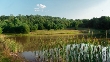Ross County Ohio Land for Sale - image 24