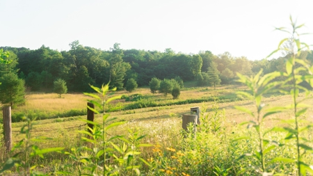 Ross County Ohio Land for Sale - image 27