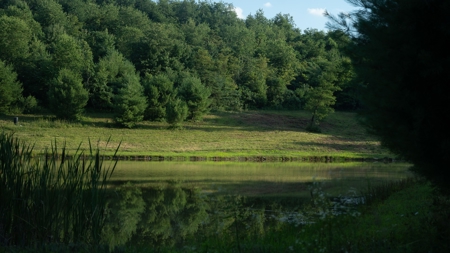 Ross County Ohio Land for Sale - image 22