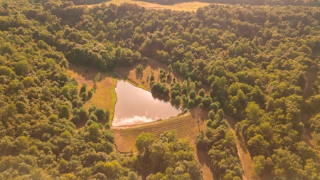 Ross County Ohio Land for Sale - image 4