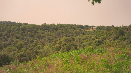 Ross County Ohio Land for Sale - image 29
