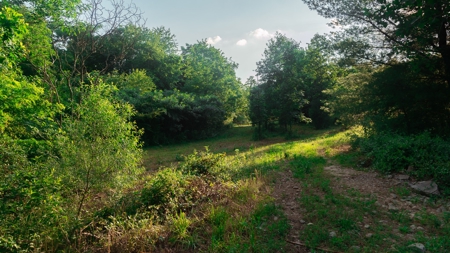 Ross County Ohio Land for Sale - image 21