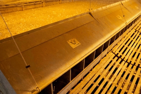Poultry Breeder Turnkey Farm w/ 40 Acres - image 30