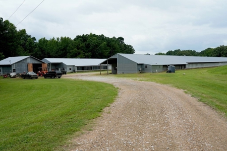 Poultry Breeder Turnkey Farm w/ 40 Acres - image 37