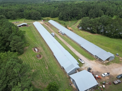 Poultry Breeder Turnkey Farm w/ 40 Acres - image 15