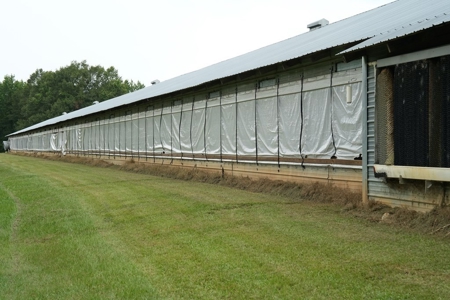 Poultry Breeder Turnkey Farm w/ 40 Acres - image 28