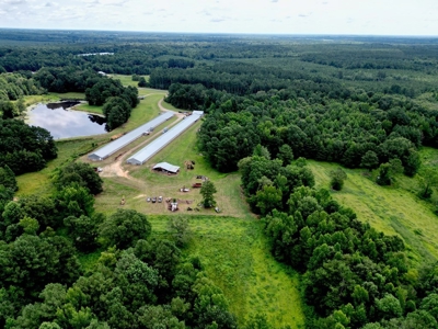 Poultry Breeder Turnkey Farm w/ 40 Acres - image 17