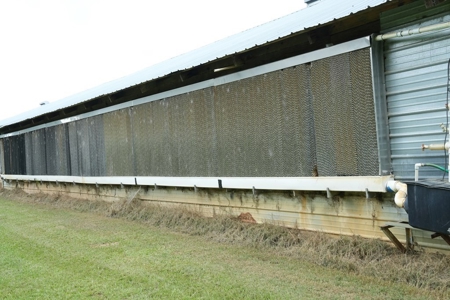 Poultry Breeder Turnkey Farm w/ 40 Acres - image 34