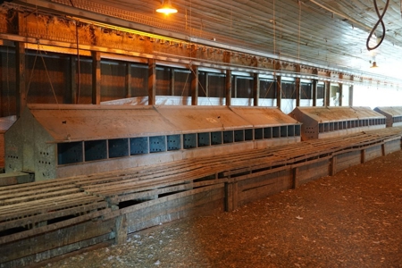 Poultry Breeder Turnkey Farm w/ 40 Acres - image 18