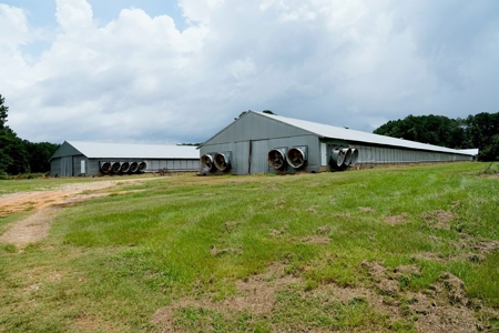 Poultry Breeder Turnkey Farm w/ 40 Acres - image 4