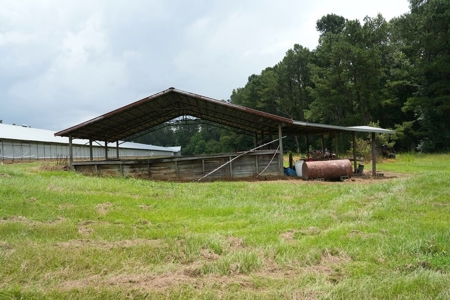 Poultry Breeder Turnkey Farm w/ 40 Acres - image 39