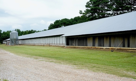 Poultry Breeder Turnkey Farm w/ 40 Acres - image 33
