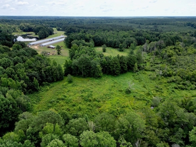 Poultry Breeder Turnkey Farm w/ 40 Acres - image 16