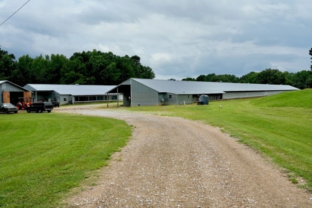 Poultry Breeder Turnkey Farm w/ 40 Acres - image 3
