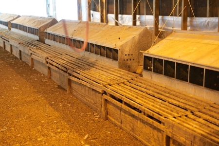 Poultry Breeder Turnkey Farm w/ 40 Acres - image 29
