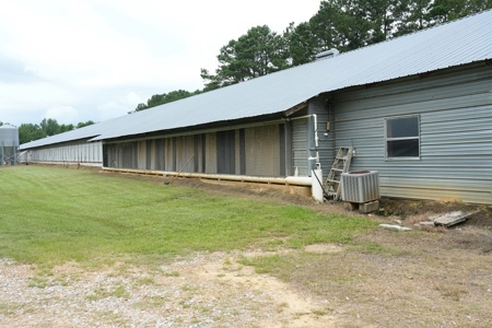 Poultry Breeder Turnkey Farm w/ 40 Acres - image 45
