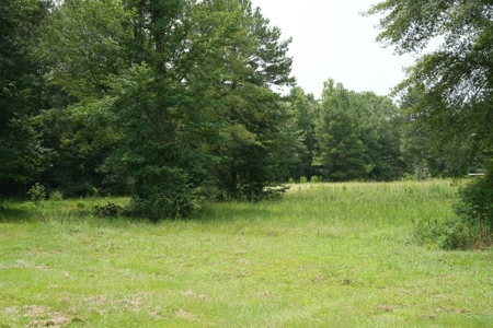 Poultry Breeder Turnkey Farm w/ 40 Acres - image 38