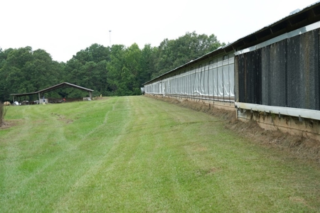 Poultry Breeder Turnkey Farm w/ 40 Acres - image 27