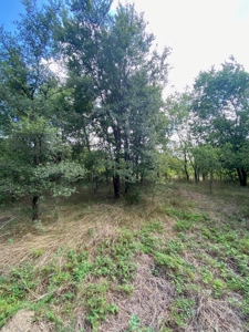 Land for Sale in Central Texas - image 6