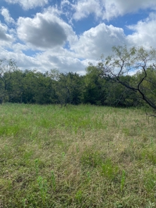 Land for Sale in Central Texas - image 4