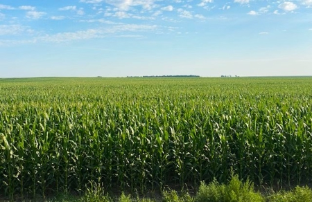 Farm for Sale with Seller Leaseback, Western Kansas - image 1
