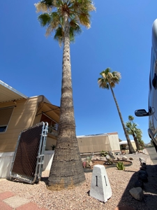Online Mobile Home Auction In Apache Junction, Arizona - image 37
