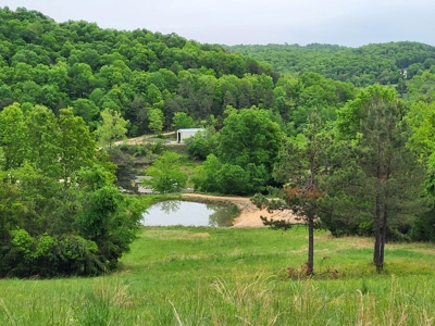 Price Reduction: Arkansas Seven Springs Ranch - image 30