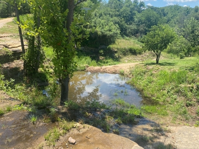 Price Reduction: Arkansas Seven Springs Ranch - image 32