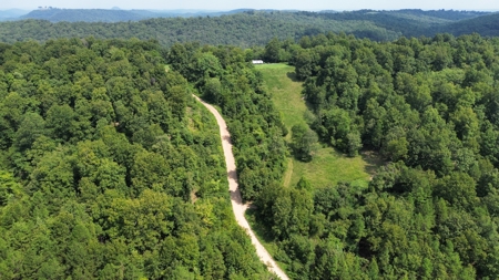Price Reduction: Arkansas Seven Springs Ranch - image 3