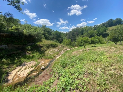 Price Reduction: Arkansas Seven Springs Ranch - image 34