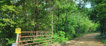 Price Reduction: Arkansas Seven Springs Ranch - image 39