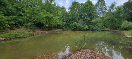 Price Reduction: Arkansas Seven Springs Ranch - image 7
