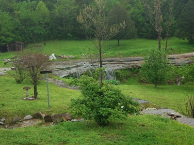 Price Reduction: Arkansas Seven Springs Ranch - image 6