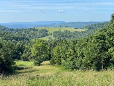 Price Reduction: Arkansas Seven Springs Ranch - image 9