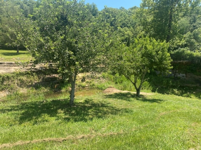 Price Reduction: Arkansas Seven Springs Ranch - image 36
