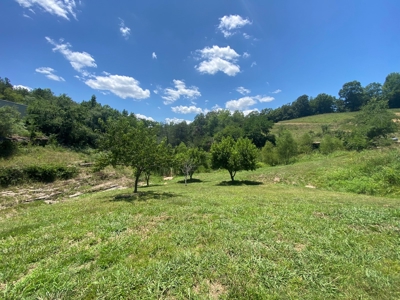 Price Reduction: Arkansas Seven Springs Ranch - image 35