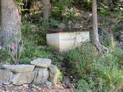Price Reduction: Arkansas Seven Springs Ranch - image 28