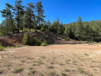 Northern New Mexico Mountain Property in Ticonderoga - image 6