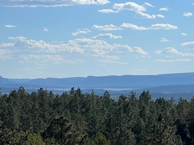 Northern New Mexico Mountain Property in Ticonderoga - image 17