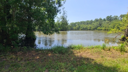 "Beaumont TX Auction: Waterfront Home with Airbnb Potential" - image 17