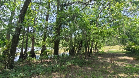 "Beaumont TX Auction: Waterfront Home with Airbnb Potential" - image 16