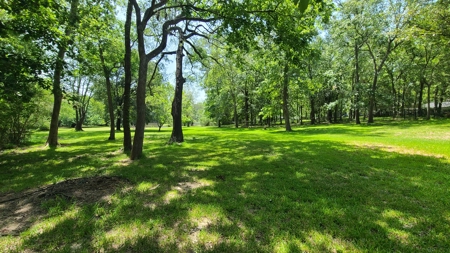 "Beaumont TX Auction: Waterfront Home with Airbnb Potential" - image 6